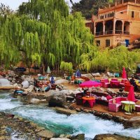 Shore Excursions