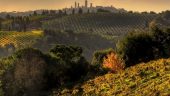 Beautiful Tuscany!