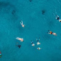 Cruises, Sailing & Water Tours