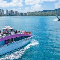 Holiday & Seasonal Tours