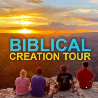Half-day Tours