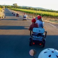 Trikke Tours