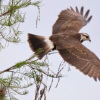 Photography Tours