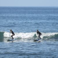 Surfing & Windsurfing