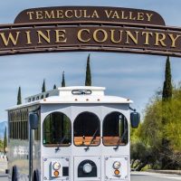 Trolley Tours