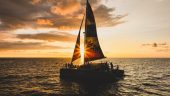 Awesome Cruise