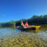 Luxury Tours