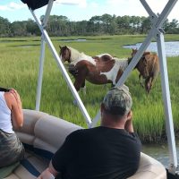 Boat Tours