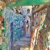 Volunteer Tours