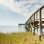 Top Crystal River activities