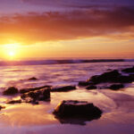 Top Laguna Beach activities