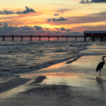 Top Orange Beach activities