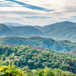 Top Pigeon Forge activities