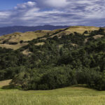 Top Santa Rosa activities