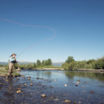 Top West Yellowstone activities