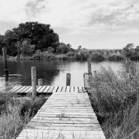 Luxury & Special Occasions