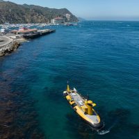 Cruises, Sailing & Water Tours