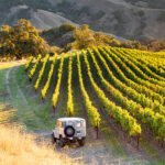 Top Healdsburg activities