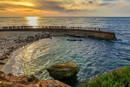 New Year’s Eve in La Jolla