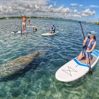 Holiday & Seasonal Tours