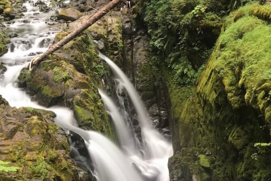 President's Day in Port Angeles