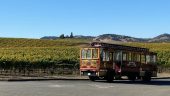Wine tour 