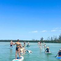 Eco Tours