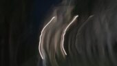 Best ghost tour in Charleston