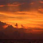 Top Port Aransas activities