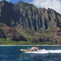 Dolphin & Whale Watching