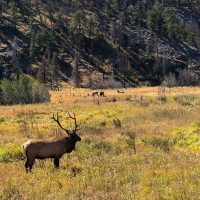 Private & Custom Tours