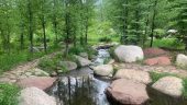Aspen trail walk