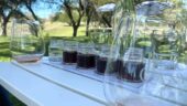 Paso Robles – Ein wunderschönes, gastfreundliches Reiseziel im Weinanbaugebiet. Ein absolutes Muss.