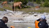 Kayaking Experience on Yellowstone Lake 