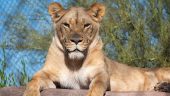 Day or Night, Don't Miss This Zoo
