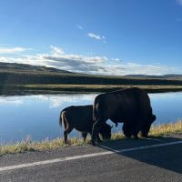 Luxury Tours
