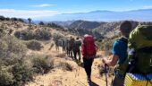 Consider a wander and skip the rush hour on the Park highway.