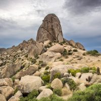 Private Sightseeing Tours