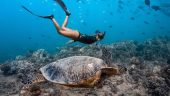 Best way to snorkel - this will exceed your expectations!