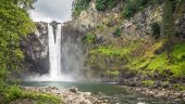 Monkey Falls-worth the visit