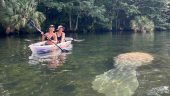 Great springs experience!