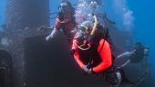 Gran buceo en Waikiki