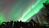 Saw the Northern Lights!