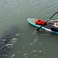 Water Sports
