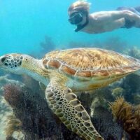Nature & Wildlife