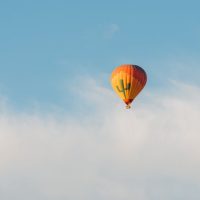 Half-day Tours