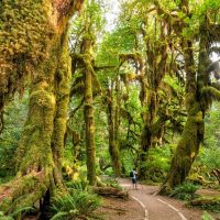 Bus & Minivan Tours