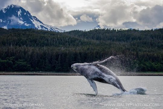 Thanksgiving in Hoonah