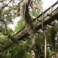 Walking & Biking Tours