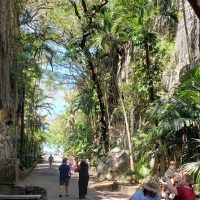 Half-day Tours